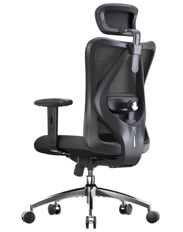 SIHOO M18 Ergonomic Office Chair Review: Comfort and Support Tested ...